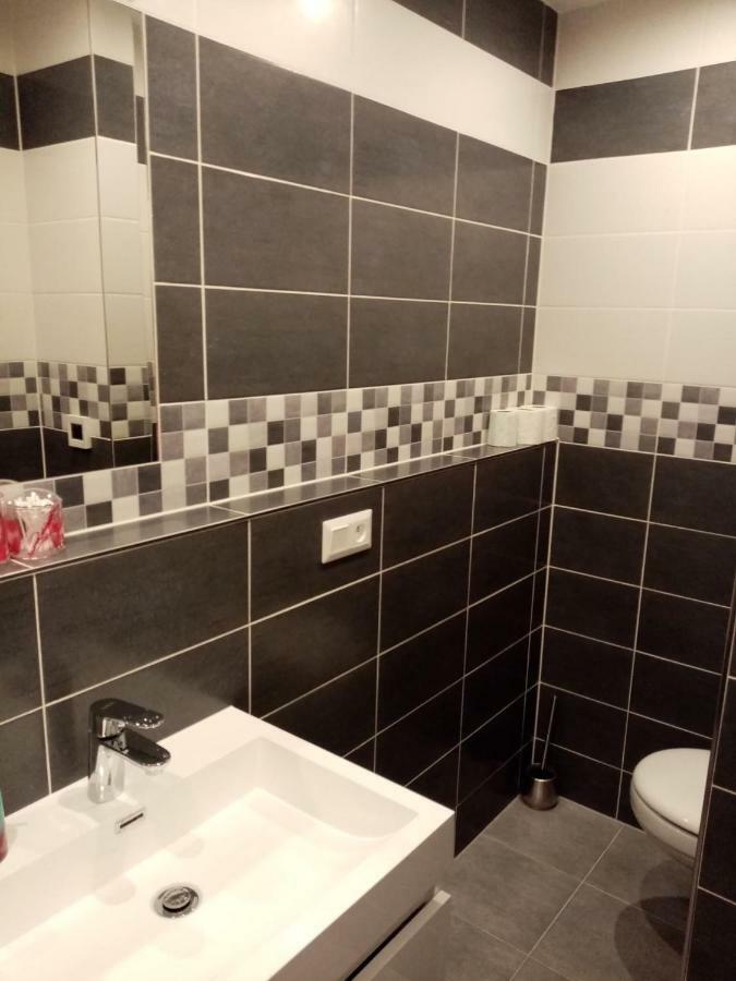 Apartman Aneta كارلوفي فاري المظهر الخارجي الصورة