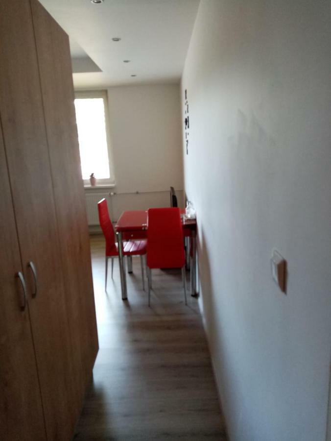 Apartman Aneta كارلوفي فاري المظهر الخارجي الصورة